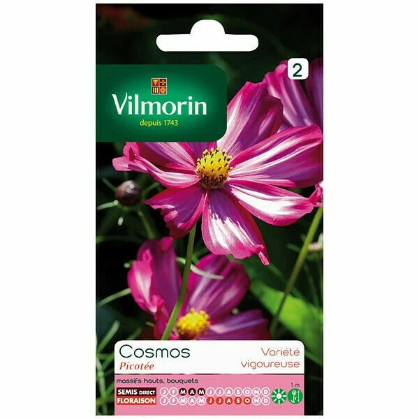 Graines et bulbes d'automne