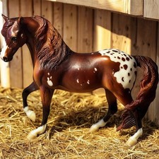 Breyer Traditional Custom