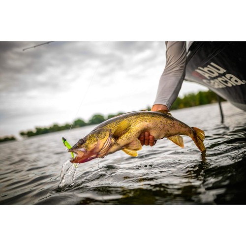 Berkley Gulp! Alive! Minnow , Chartreuse Shad , 1-Inch - Picture 7 of 7