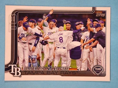 2025 Topps Series 1 - Pick One - Fill Your Set #200-#350 - Picture 95 of 151