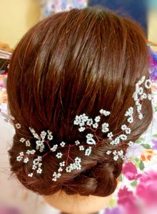 Wedding Hair Vine Baby S Breath Gypsophila Brown Wire Hair Bridal