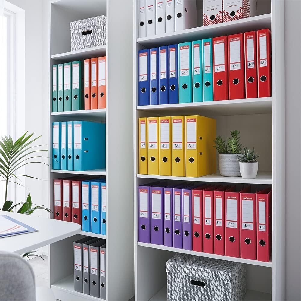 Esselte Lever Arch File - A4 Grey Plastic, 5cm Spine, Holds 350 Sheets, FSC Certified