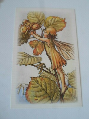 DIE HASELNUSSFEE - Cicely Mary Barker Blumenfeen Postkarte 2012 §ZD1437