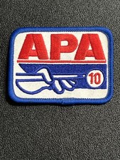 APA American Poolplayers Pool 2010 10 Patch
