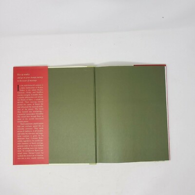 The Illuminated Rumi Hardcover Book Coleman Barks Michael Green