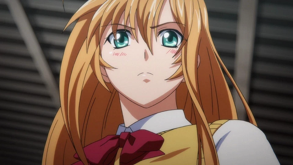 ANIME DVD~UNCUT~ENGLISH DUBBED~Ikkitousen Season 1-4(1-49End+Movie+8 OVA)+GIFT - Image 3 of 4