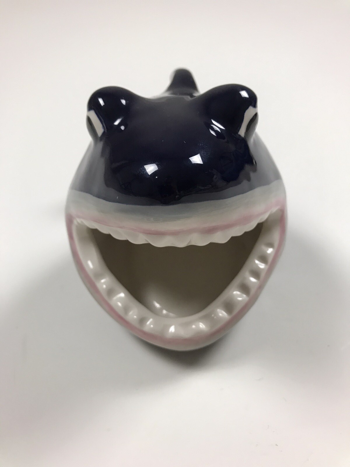 B W fish sponge holder-image