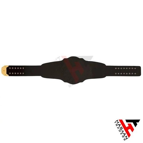 NEW INTERCONTINENTAL CHAMPIONSHIP WRESTLING REPLICA TITLE BELT 2MM BRASS ADULT S - Picture 7 of 8