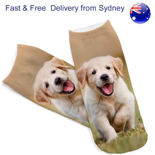 Black Labrador Retriever Dog Breed Socks Unisex Sock Daddy by E&S Pets