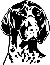 DEUTSCH KURZHAAR Aufkleber - Autoaufkleber - sticker - Deutsch Kurzhaar Kopf #46