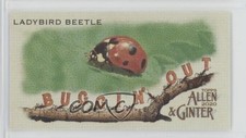 2020 Topps Allen & Ginter's Buggin' Out! Minis Ladybird Beetle #MBO-1 2s2