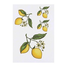 4 x 'Lemons' Temporary Tattoos / Transfers TO00061078