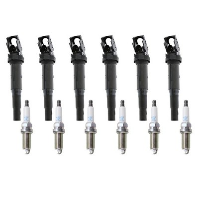 Eldor 6 Ignition Coil NGK Platinum Spark Plugs Kit for E82 E90 E92 E60 E70 L6