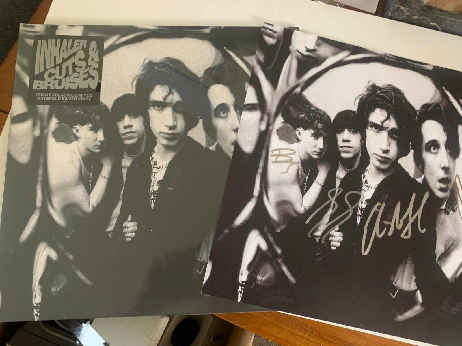 Inhaler Cuts & Bruises Silver Irish Exclusive Vinyl LP + Signed Print 2023