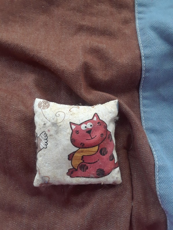 Square Catnip Pillow With Cute Designs On The Fabric
