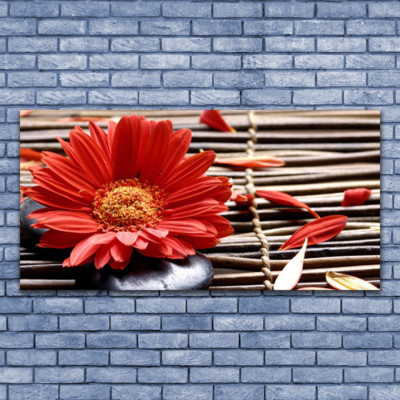 Photo sur toile Image Tableau Impression 140x70 Floral Fleur