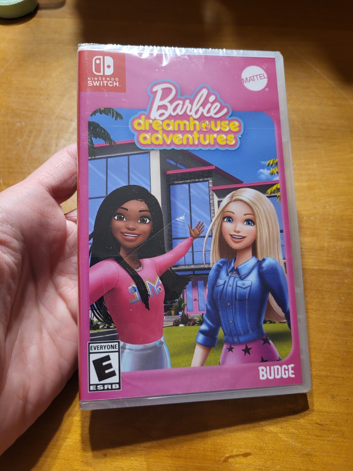 Nintendo Switch Mattel Barbie Dreamhouse Adventures READ-image