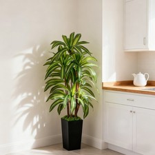 5FT Artificial Dracaena Trees Indoor with Mos...