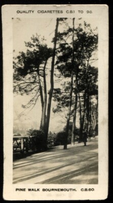 Tabakkarte,Pattreiouex,NATIVES & SCENES,CB1 - 96,1926,Pine Walk Bournemouth,60