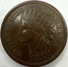 1901 Indian Head Cent Exact Coin Imaged #IND2213
