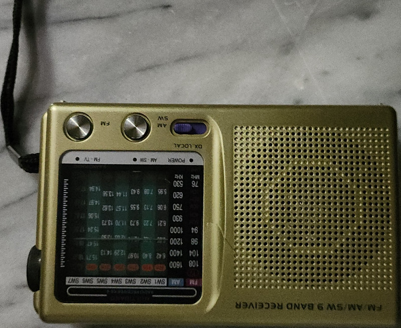 9 Band FM/AM/SW Portable Radio Receiver Gold Black Headphone Jack Wired