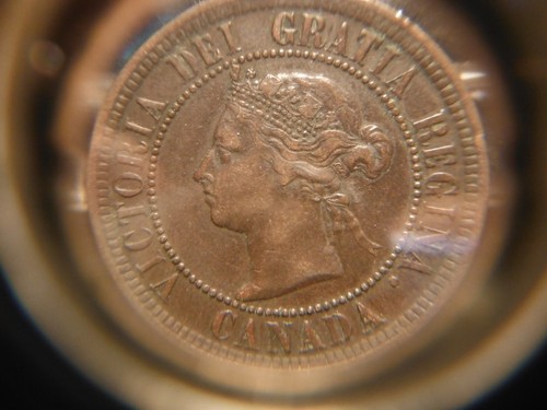 1886 Large One Cent - Obverse # 2 ***** VF - Picture 12 of 14