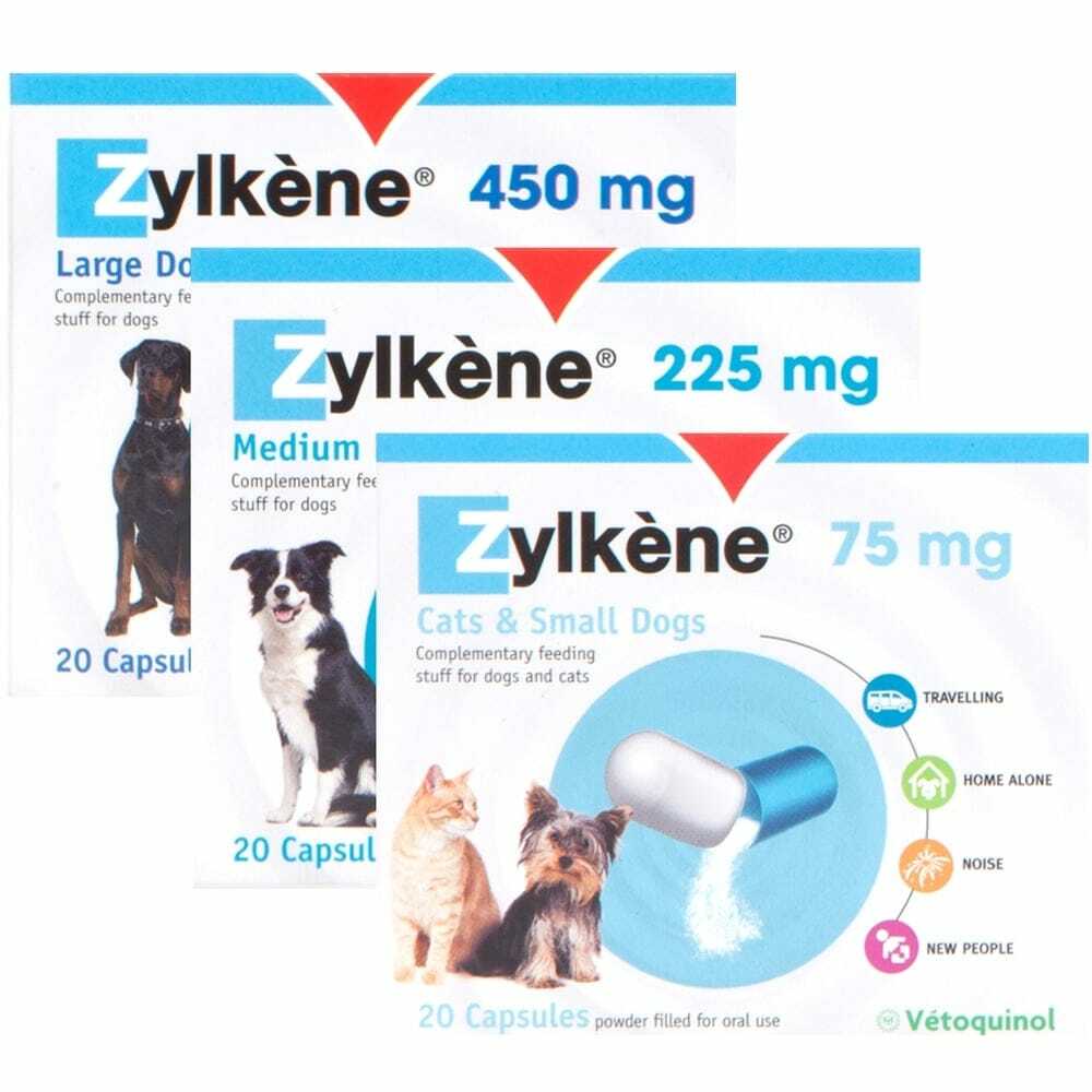 dog calming tablets zylkene