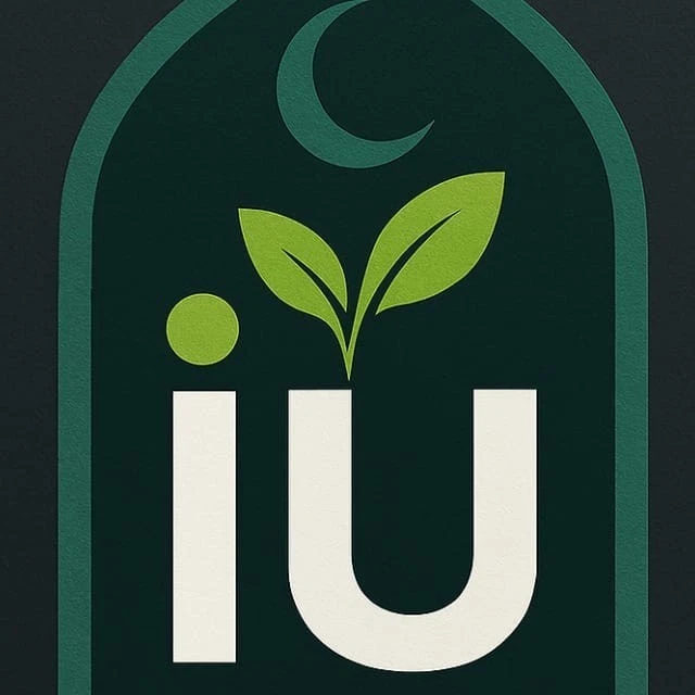 Internet BUISNES focusing on developing Global Ummah Network, Thrusted On Waqf - Image 3 of 4