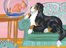 Bernese Mountain dog print 8 x 10 , "Who's Watchin who " Signed by artist