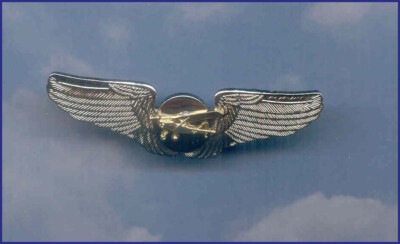 Birddog L-5 Airplane Plane Wings Aircraft Aviation Aviator Pin