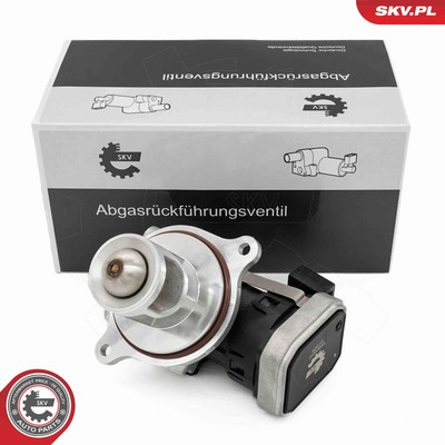 ESEN SKV 14SKV272 AGR-Ventil für MERCEDES-BENZ