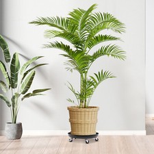 2pcs Plant Stand with Universal Wheels Flowerpot Tray Heavy Duty