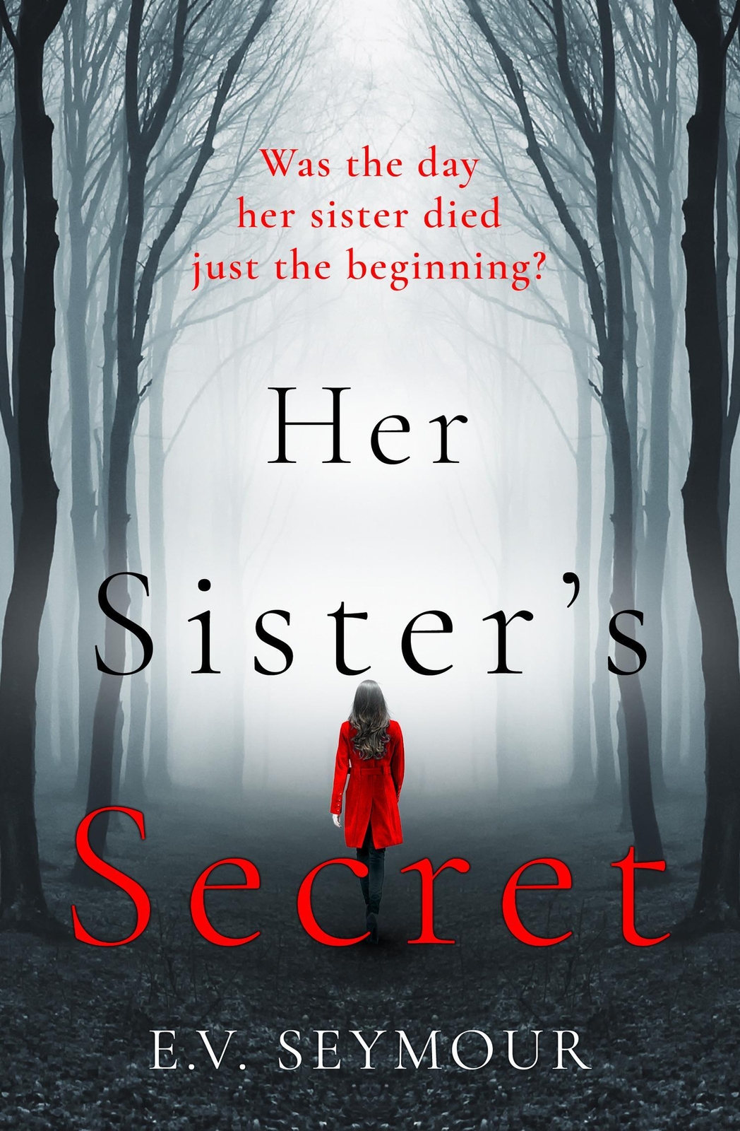 Thumbnail - Her Sister's Secret | E. V. Seymour | Englisch | Taschenbuch | 2019