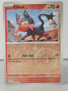 Litten Pokemon Card | eBay
