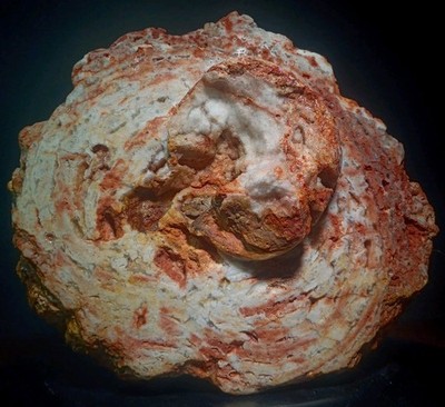 Precambrian Domed Stromatolite Tom Sauk Caldera Rim Drusy Quartz Fossil 9lb