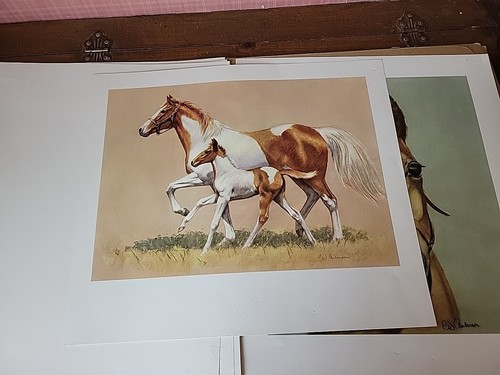 The Look of a Thoroughbred 8 Vntg Horse Prints C.W. Anderson Portfolio Man O War - Picture 17 of 24