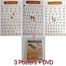 1 Set Traditional Muay Thai Kick Boxing Sketch Chart Tactics Collectible Gift