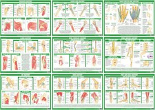 Joint Anatomy Posters | Human Anatomy Charts | Educational Biology Posters