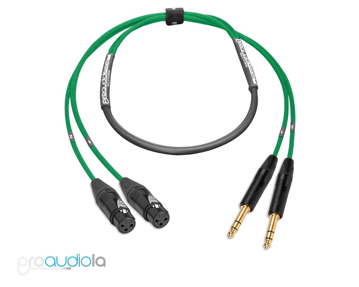 Premium 2 Channel Mogami 2930 Snake | Neutrik Gold XLR F to TRS