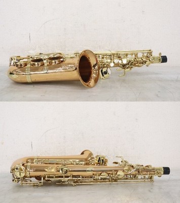 YANAGISAWA A-992 Alto Saxophone Hardcase | eBay