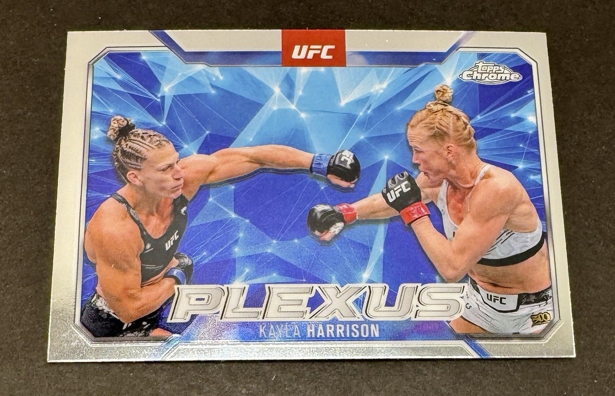 UFC　元王者　イリー・プロハースカ　サインカード UFC 元王者 イリー・プロハースカ サインカード UFC 元王者 イリー