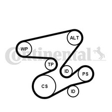 CONTINENTAL CTAM Keilrippenriemensatz f�r BMW