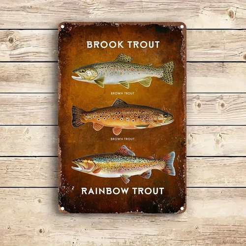 Vintage Aluminum Trout Fishing Tin Metal Signs Home Décor Wall Art 8x12