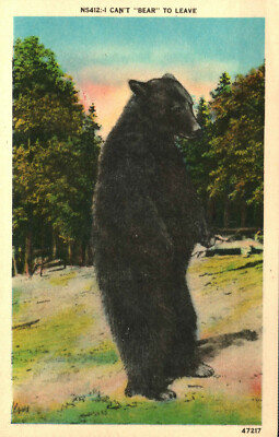Postcard Animals Bear On Hind Legs - I Can't Bear To Leave