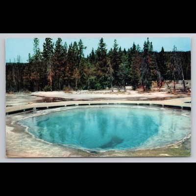 Vintage Postcard Morning Glory Pool Yellowstone Montana Unposted Scenic View