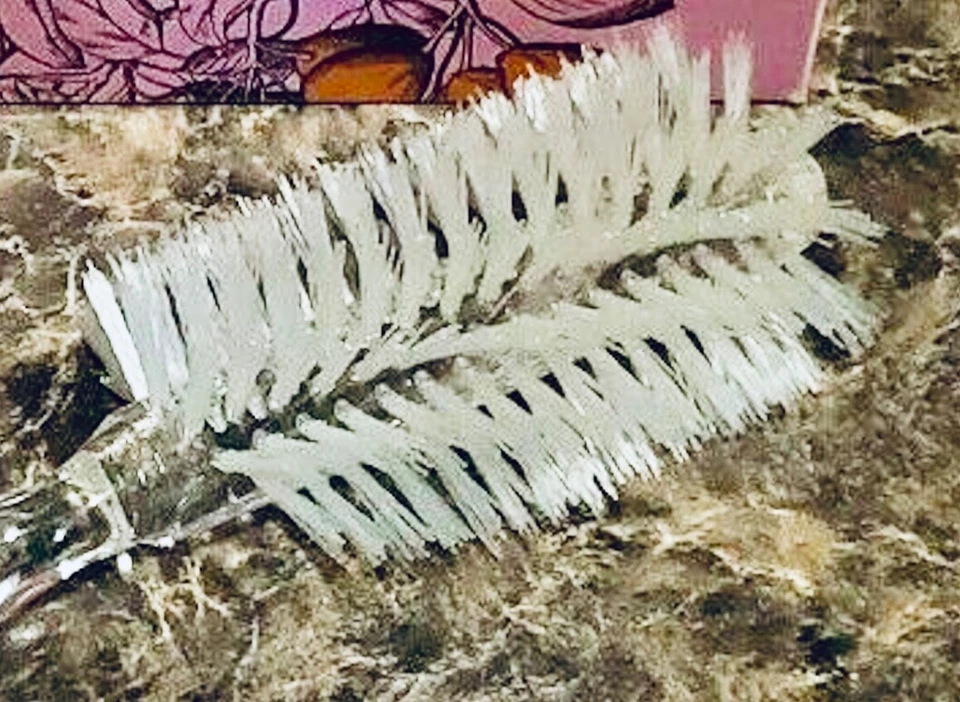 NUEVO Cepillo de Pelo Vintage FULLER ESPIRAL MEDIO REDONDO Cerdas de Nylon Lucite Transparente Nuevo de Lote Antiguo Foto 2 de 4