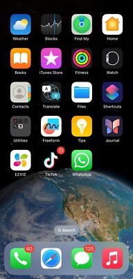 iphone 11 pro max With TikTok App