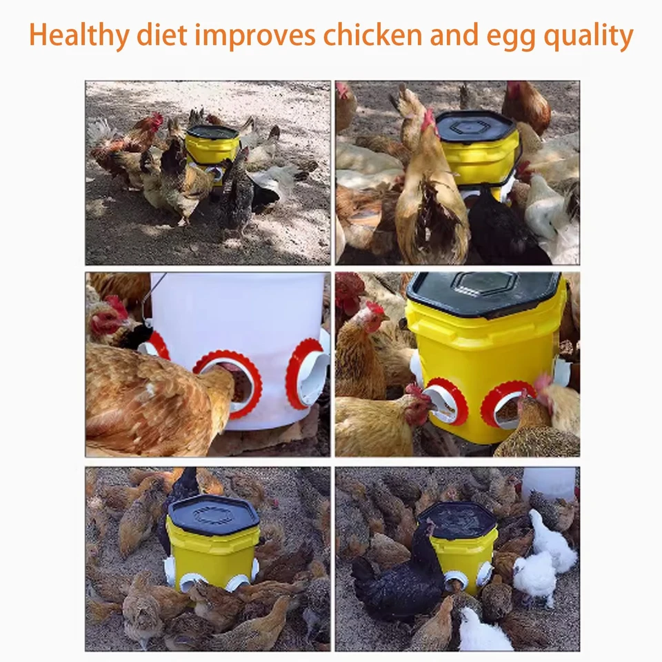 Alimentador automático de pollos 10 piezas sin puerto de residuos para alimentación Foto 4 de 4