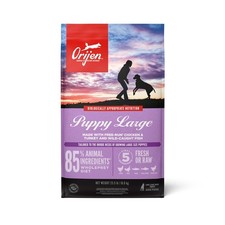 ORIJEN Grain Free Large, Fresh Raw Animal Ingredients Dry Puppy Food, 23.5 lbs