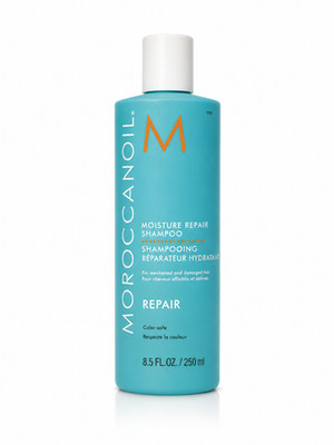 Moroccanoil Feuchtigkeitsspendendes Shampoo alle Haartypen farbsicher 250ml marokkanisches Öl